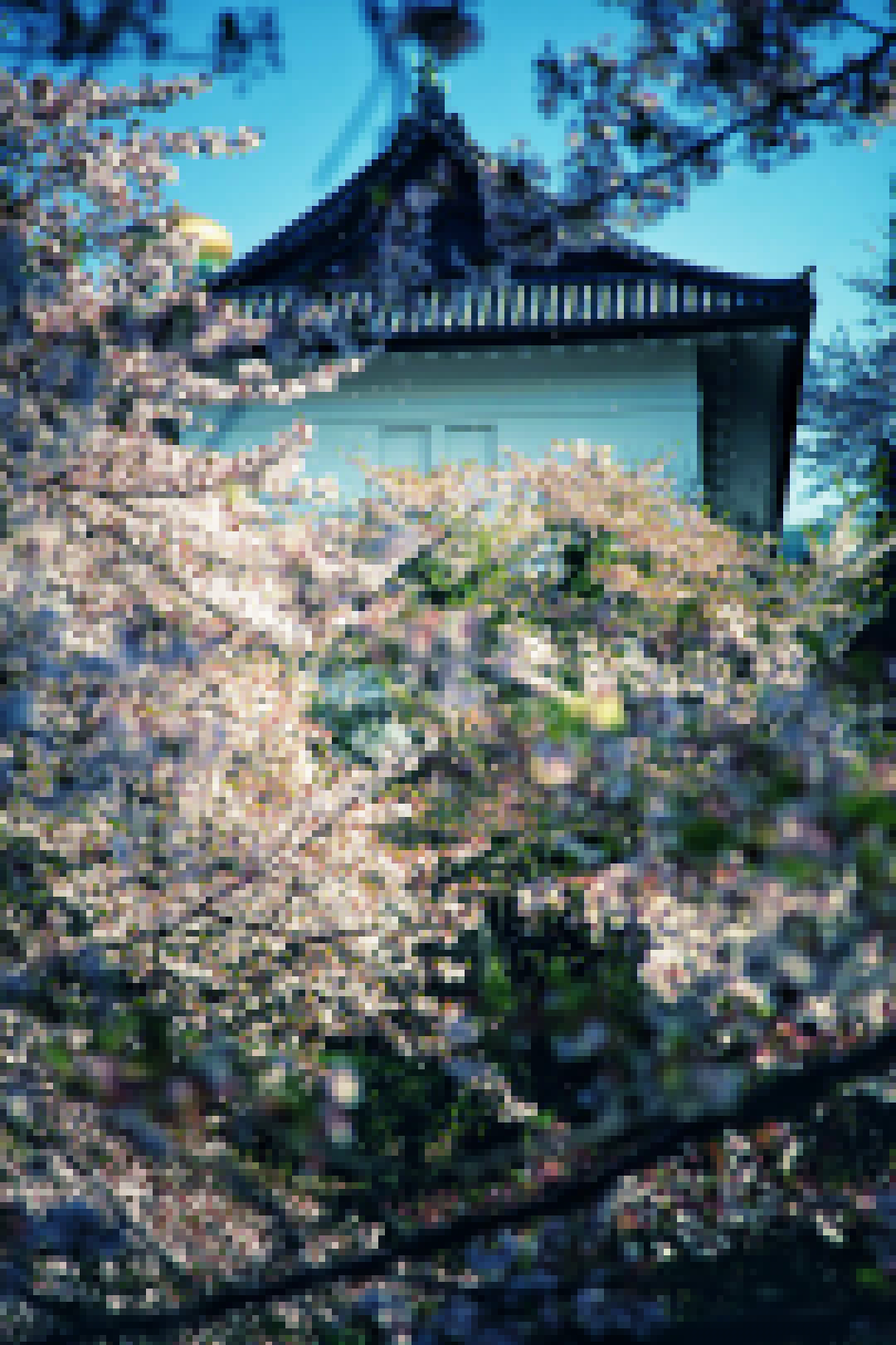 QQ圖片20200901120621.jpg
