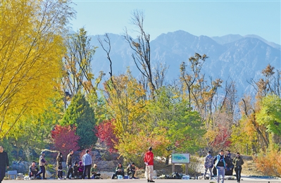 <p>　　空氣質量日益改善，周末人們匯聚在賀蘭山下觀景。</p>