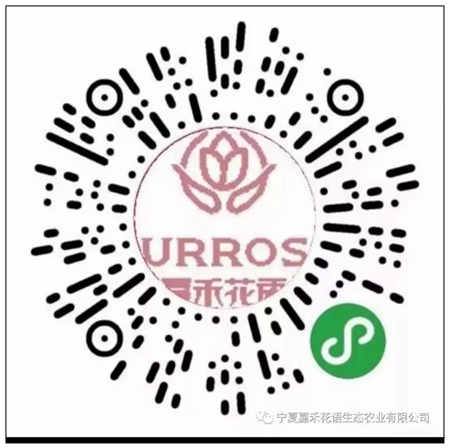 嘉禾花語—微店小程序.jpg