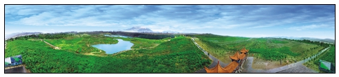 綠色惠農—七彩園全景圖.jpg