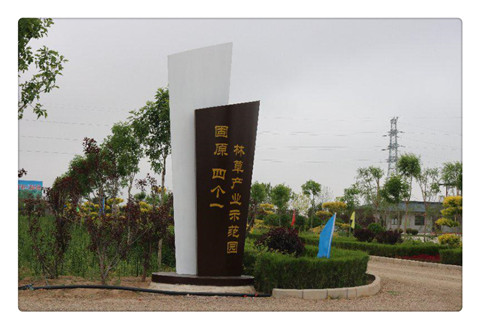 “四個一”試驗示范園1.jpg