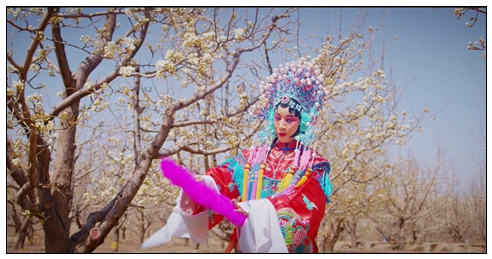 梨花節風采.jpg