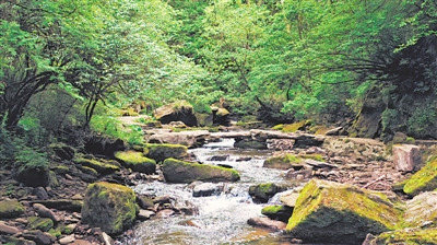 <p>　　　　六盤山國家森林公園（小南川）。</p>