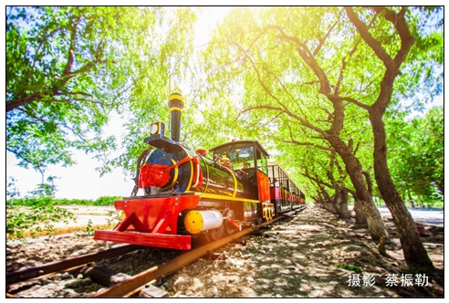 賀東葡萄酒小鎮(zhèn)小火車.jpg